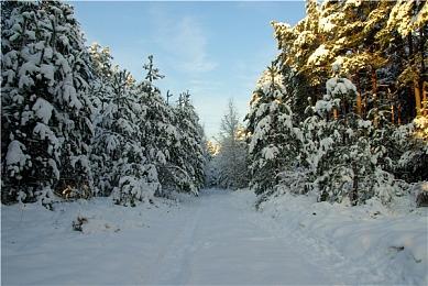 PlayStation在线服务PSN 整个全球范围都已宕机